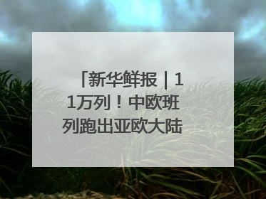 新华鲜报｜11万列！中欧班列跑出亚欧大陆“新时速”